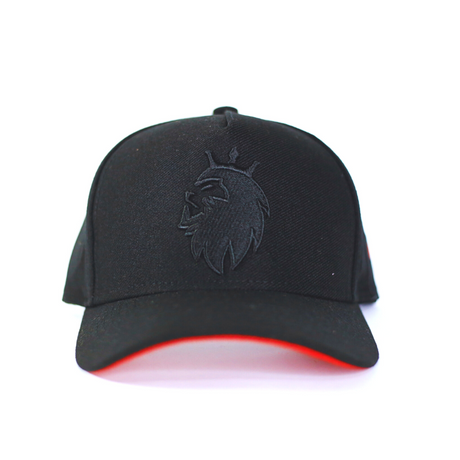 Boné Snapback Trucker Preto Judá